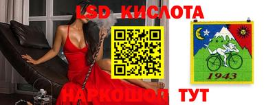 прущие крисы Новокубанск