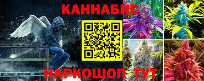 прущие крисы Новокубанск