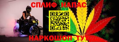 амф Новодвинск