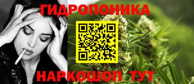 прущие крисы Новокубанск