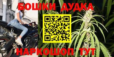 амф Новодвинск
