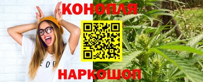эйфоретик Новозыбков