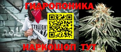 прущие крисы Новокубанск