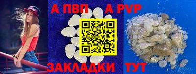 амф Новодвинск