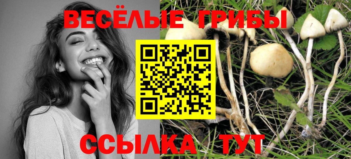 Галлюциногенные грибы ЛСД  Галлюциногенные грибы Psilocybine cubensis  Вход с VPN  Топки 