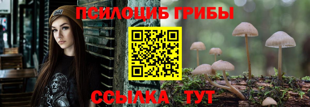 Галлюциногенные грибы мухоморы Топки